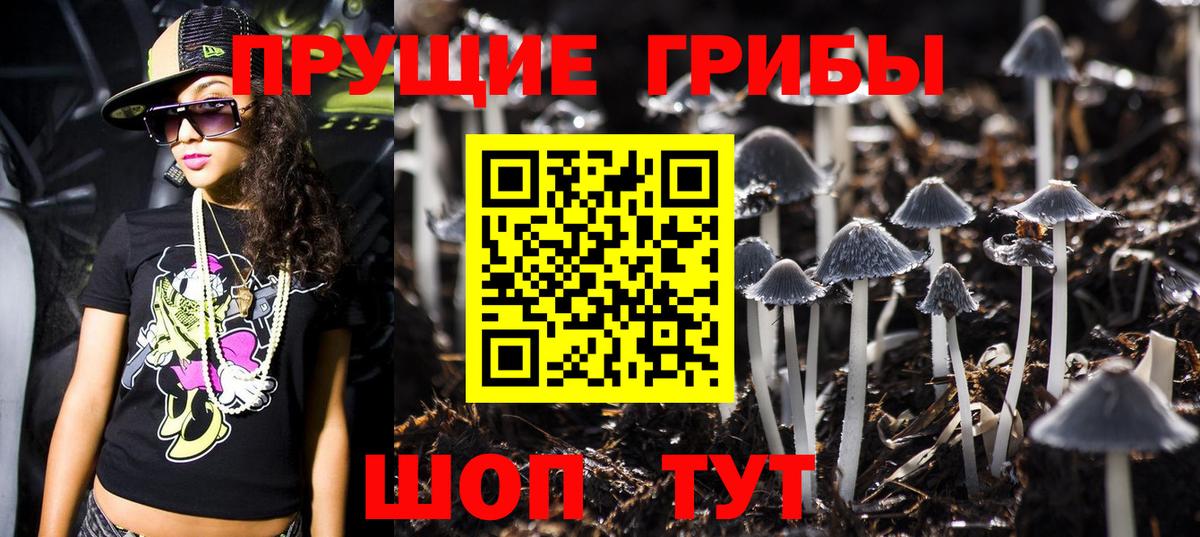 Галлюциногенные грибы Magic Shrooms  Вход с VPN  как найти   Елабуга 